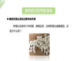 2.1.2 食物的消化  课件初中生物冀少版七年级下册