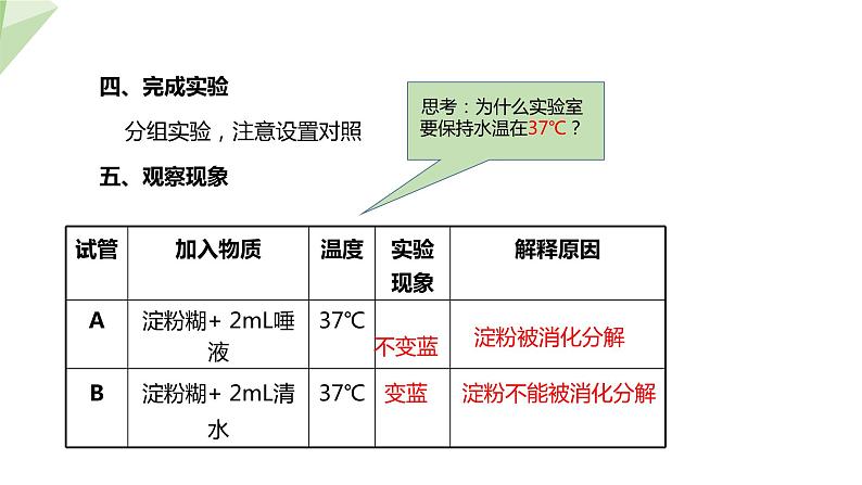 2.1.2 食物的消化  课件初中生物冀少版七年级下册第8页