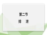 2.3.2 排泄  课件初中生物冀少版七年级下册