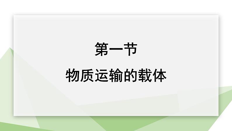 2.2.1 物质运输的载体  课件 初中生物冀少版七年级下册第1页