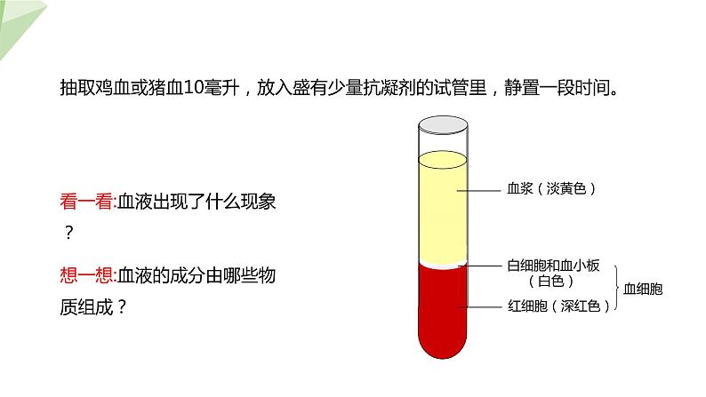 2.2.1 物质运输的载体  课件 初中生物冀少版七年级下册第5页