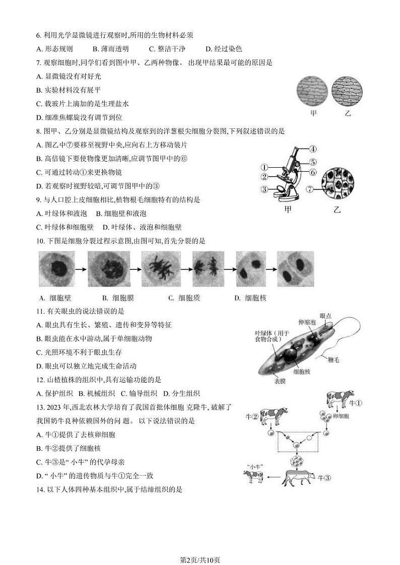 2024北京朝阳初一(上)期末生物试卷及答案第2页