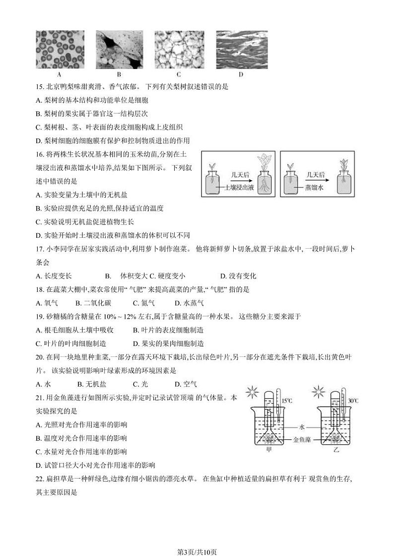 2024北京朝阳初一(上)期末生物试卷及答案第3页