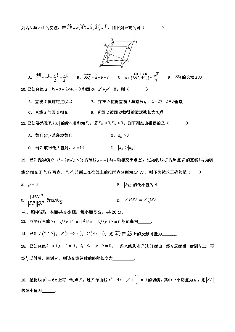 云南省昭通市巧家县2023-2024学年七年级上学期期末生物试题02
