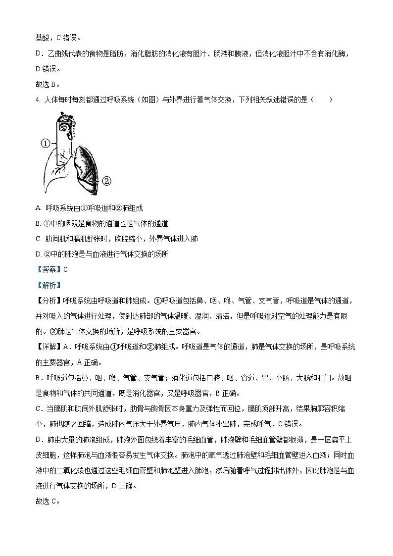 精品解析：山东省济宁市微山县2022-2023学年七年级下学期期末生物试题（解析版）03