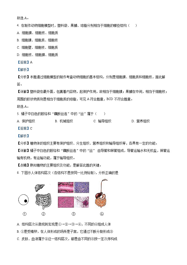 精品解析：山东省临沂市沂水县2022-2023学年七年级下学期期末生物试题（解析版）第3页