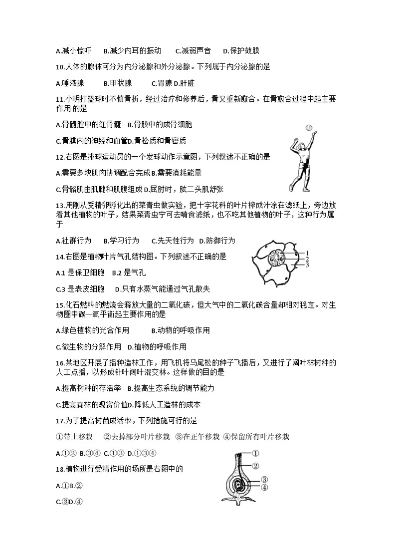 陕西省渭南市蒲城县2020-2021学年八年级上学期期末考试生物试卷02