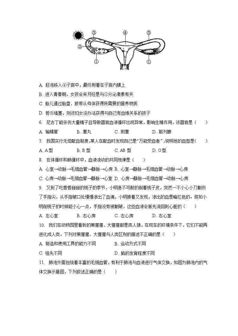 海南省保亭中学2022-2023学年七年级下学期期中生物试卷第2页