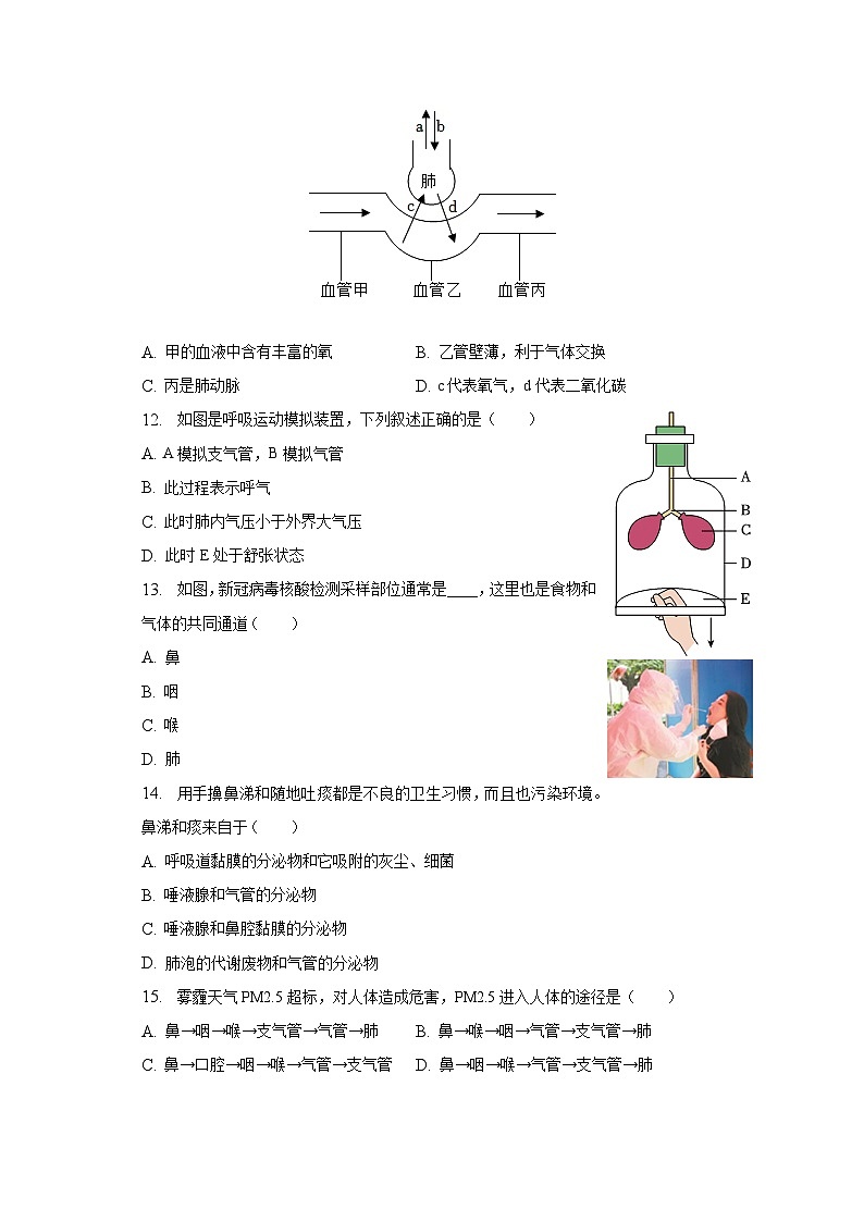 海南省保亭中学2022-2023学年七年级下学期期中生物试卷第3页