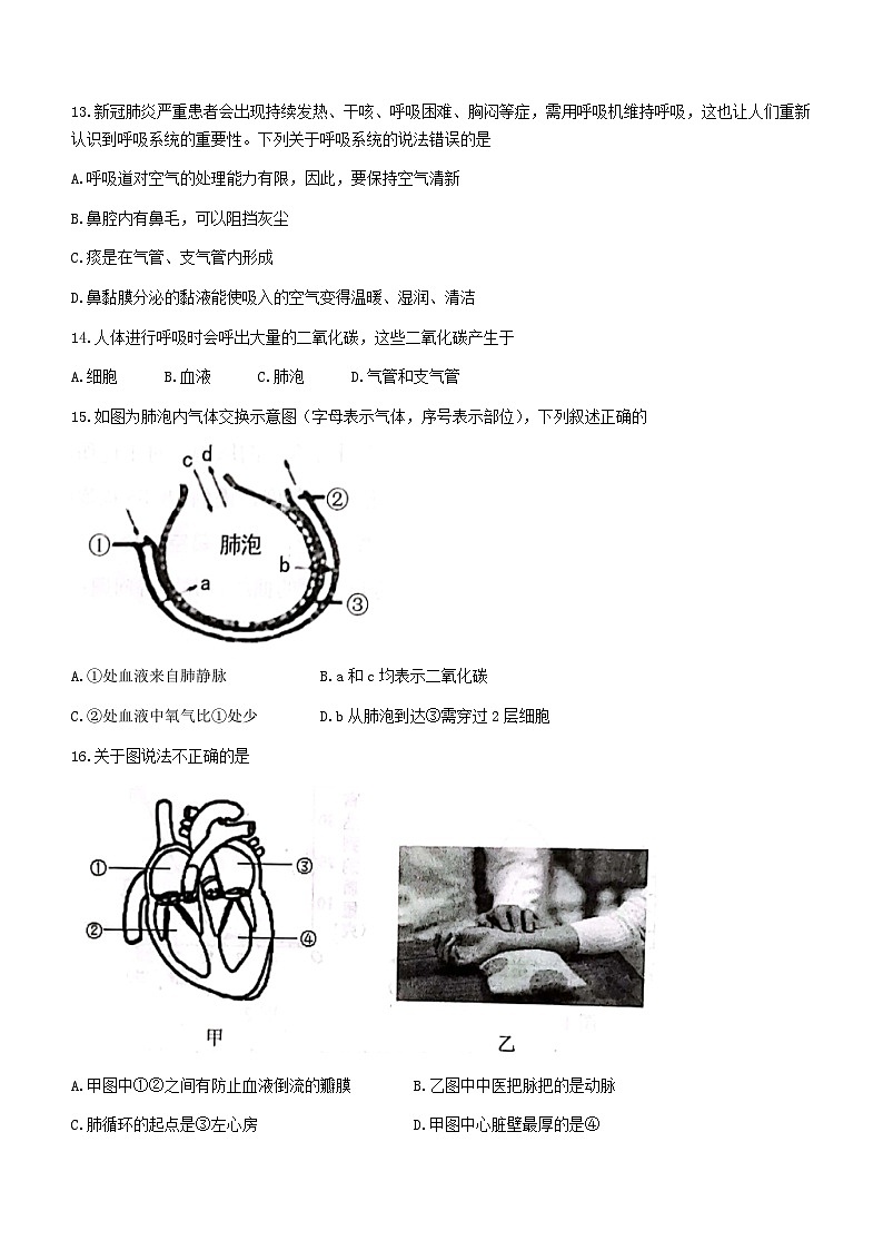 河南省漯河市郾城区2022-2023学年七年级下学期期中生物试题03