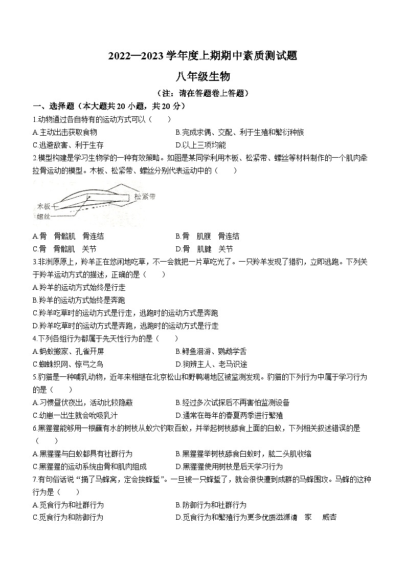 河南省驻马店市确山县2022-2023学年八年级上学期期中生物试题01