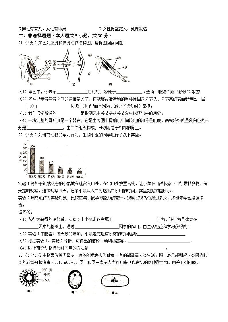 河南省驻马店市确山县2022-2023学年八年级上学期期中生物试题03