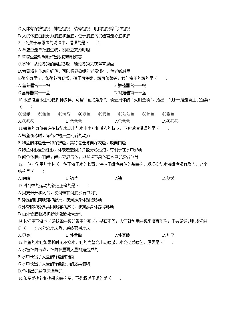 江苏省宿迁市泗洪县2022-2023学年七年级下学期期末生物试题第2页