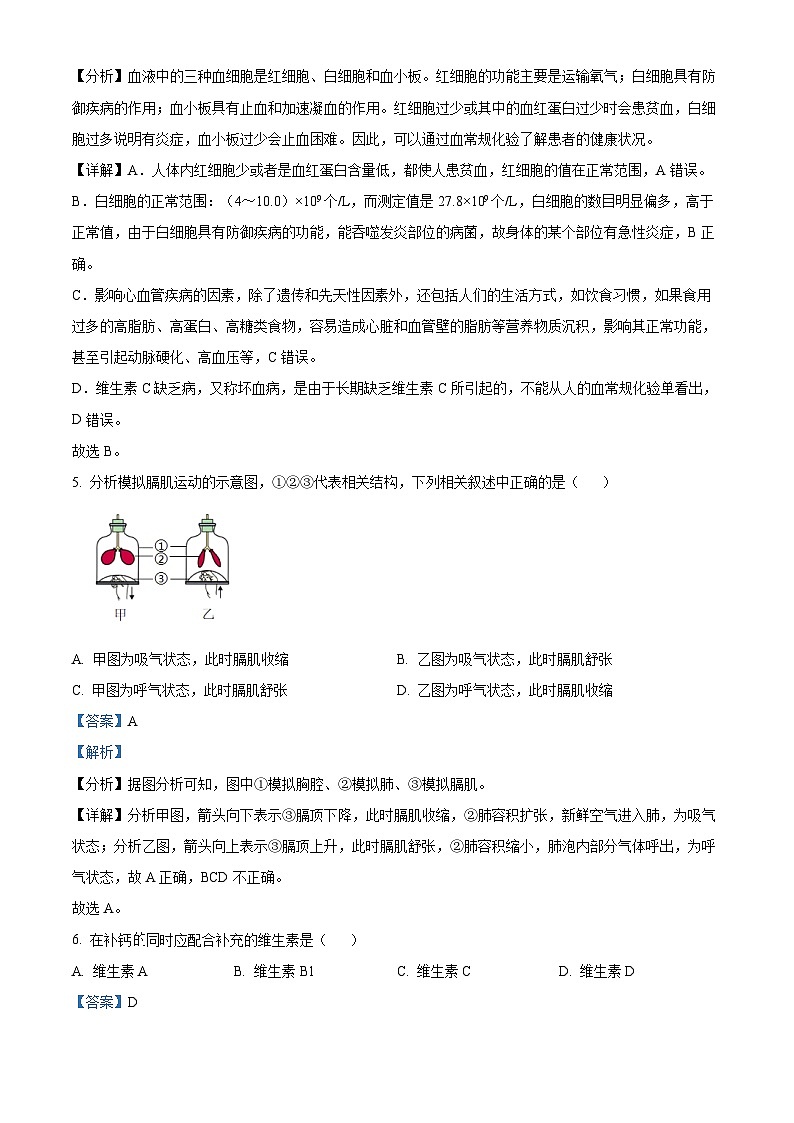 辽宁省大连市高新园区2022-2023学年七年级下学期期末生物试题（解析版）03