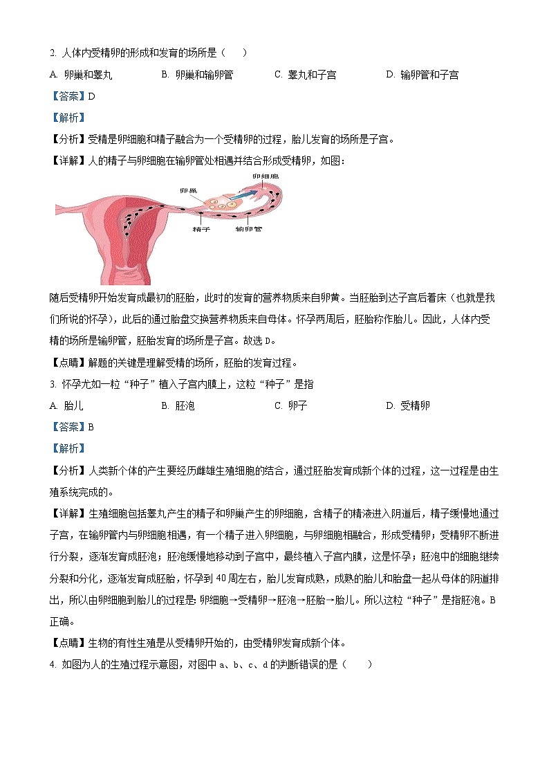 山东省威海经济技术开发区皇冠中学2022-2023学年七年级上学期期中生物试题（解析版）第2页