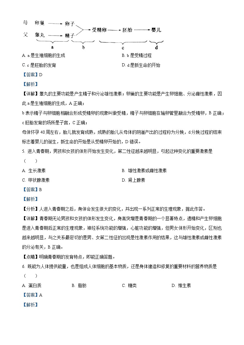 山东省威海经济技术开发区皇冠中学2022-2023学年七年级上学期期中生物试题（解析版）第3页