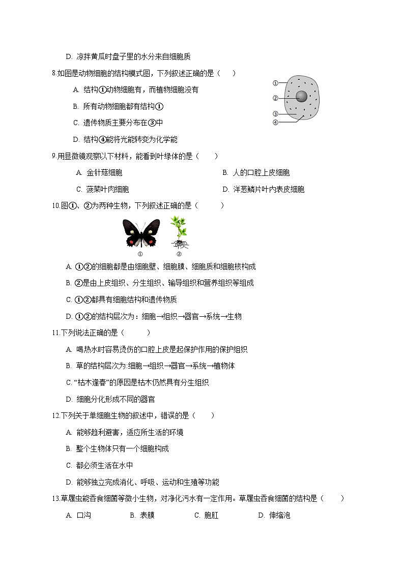 2023-2024学年甘肃省酒泉市七年级上册期末考试生物试题（附答案）02