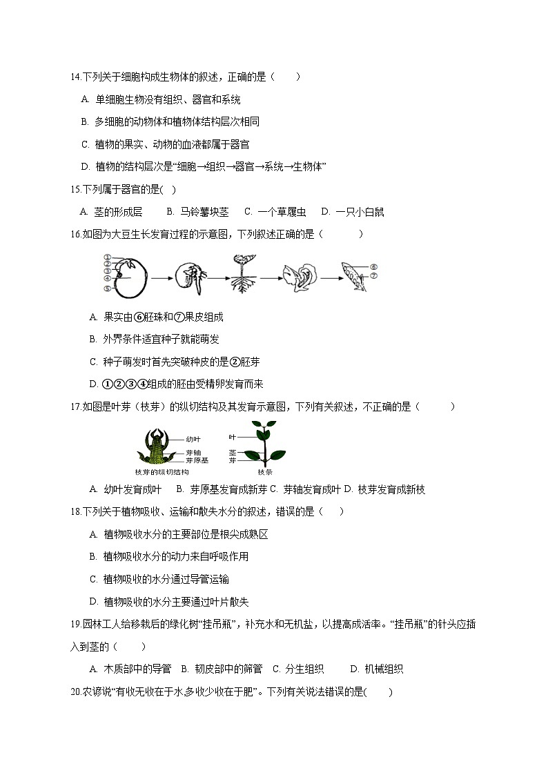 2023-2024学年甘肃省酒泉市七年级上册期末考试生物试题（附答案）03