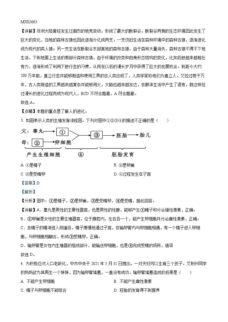 山东省聊城市莘县2022-2023学年七年级下学期期中生物试题（解析版）第2页