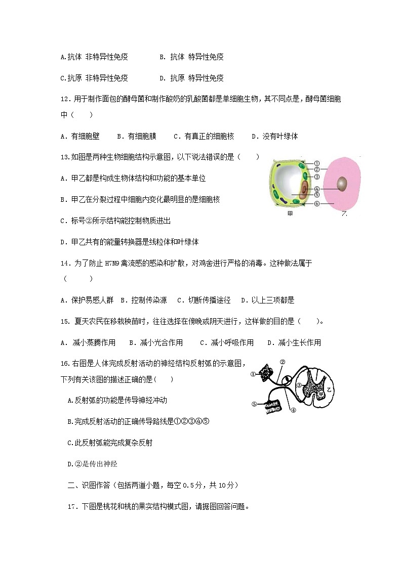 2023年辽宁省丹东市东港市初中学业水平考试二模生物试卷第3页