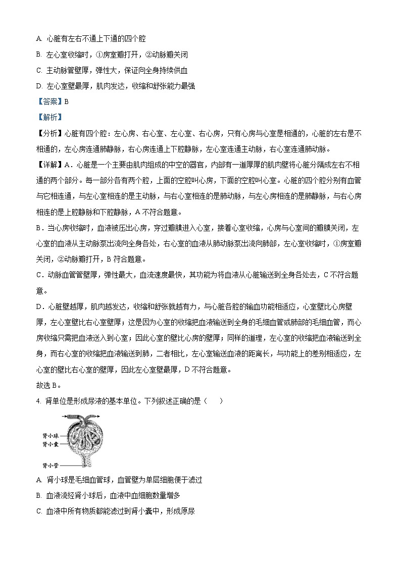 安徽省宿州市砀山县2022-2023学年七年级下学期期末生物试题（解析版）03