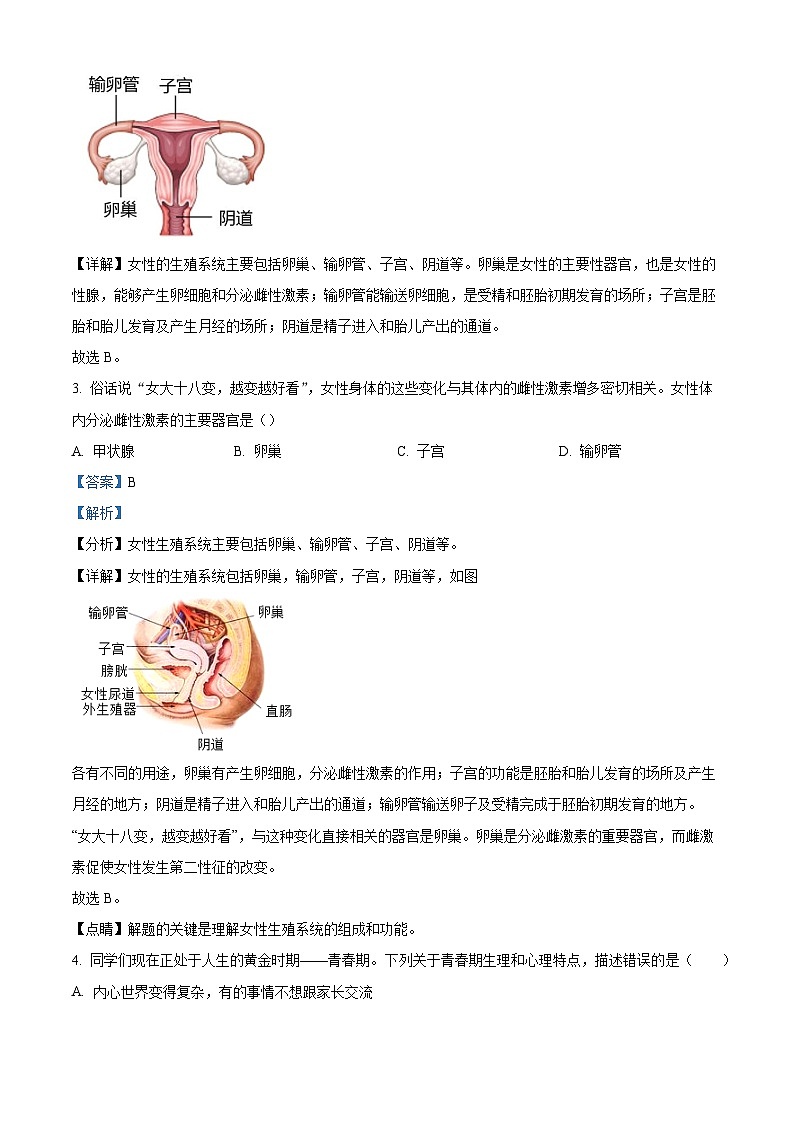 湖南省邵阳市北塔区2022-2023学年七年级下学期期末生物试题（解析版）第2页