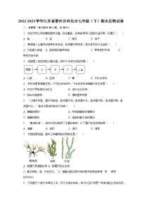 江苏省泰州市兴化市2022-2023学年七年级下学期期末生物试卷