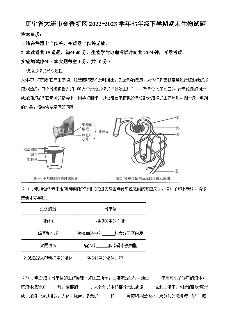 辽宁省大连市金普新区2022-2023学年七年级下学期期末生物试题（解析版）01