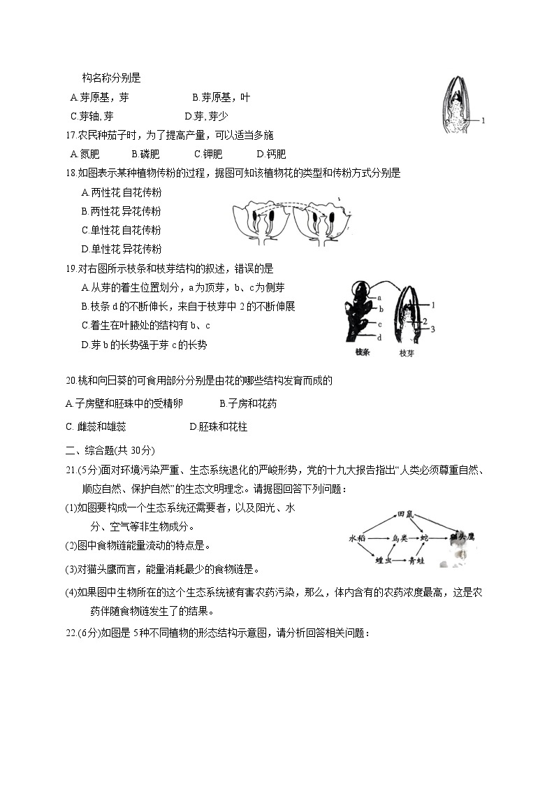 2023-2024学年河南省周口市沈丘县七年级上册12月月考生物试题（附答案）03