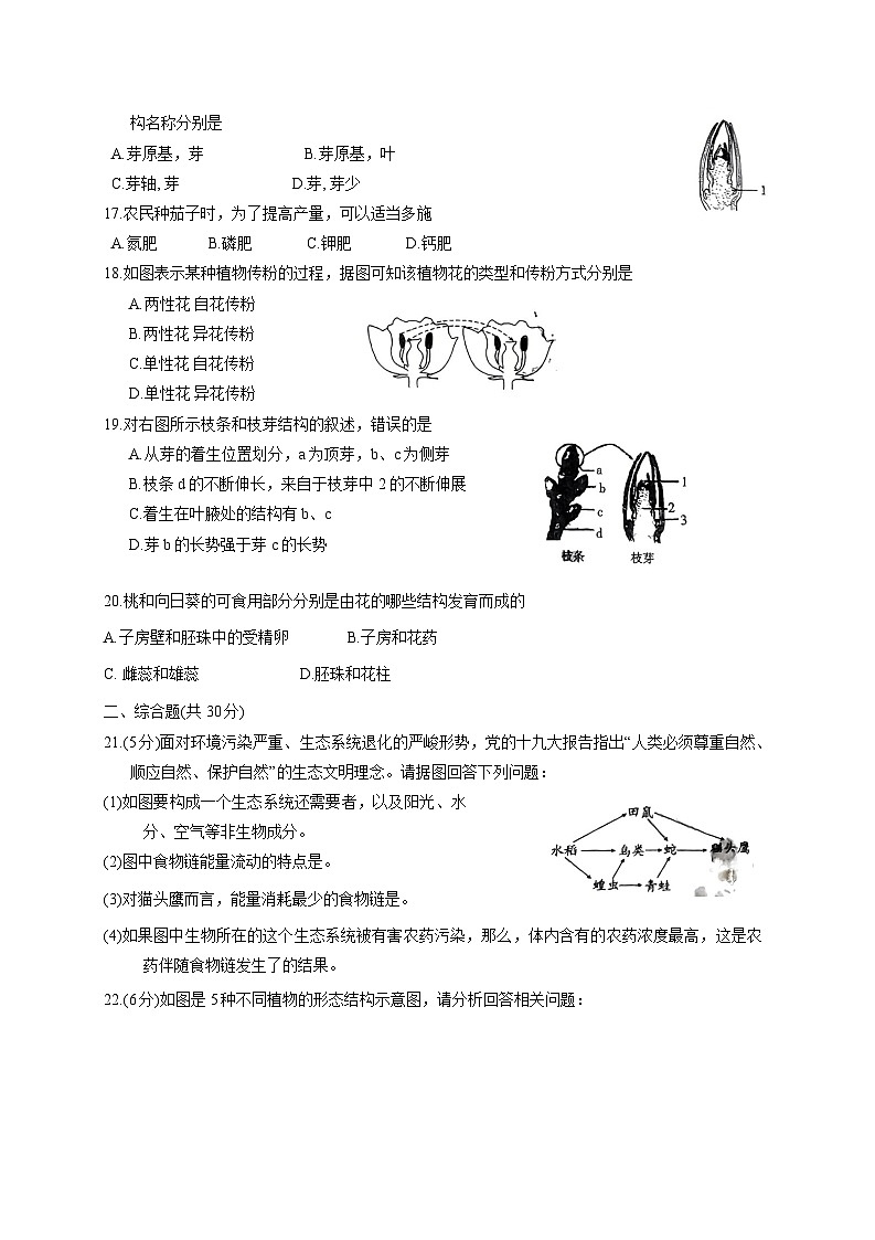 2023-2024学年河南省周口市沈丘县七年级上册12月月考生物试题（附答案）03