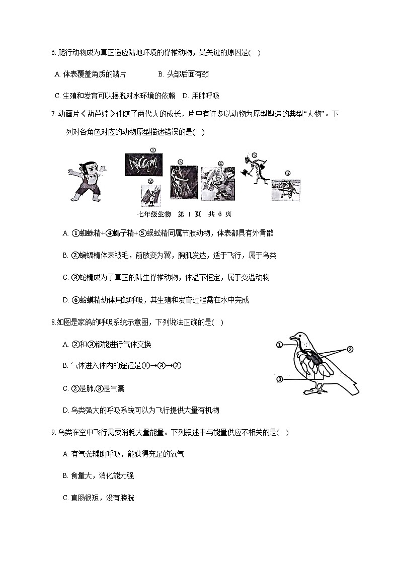2023-2024学年山东省济宁市金乡县七年级上册12月份学情检测生物试卷（附答案）02