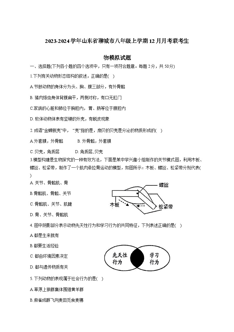 2023-2024学年山东省聊城市八年级上册12月月考联考生物试题（附答案）01