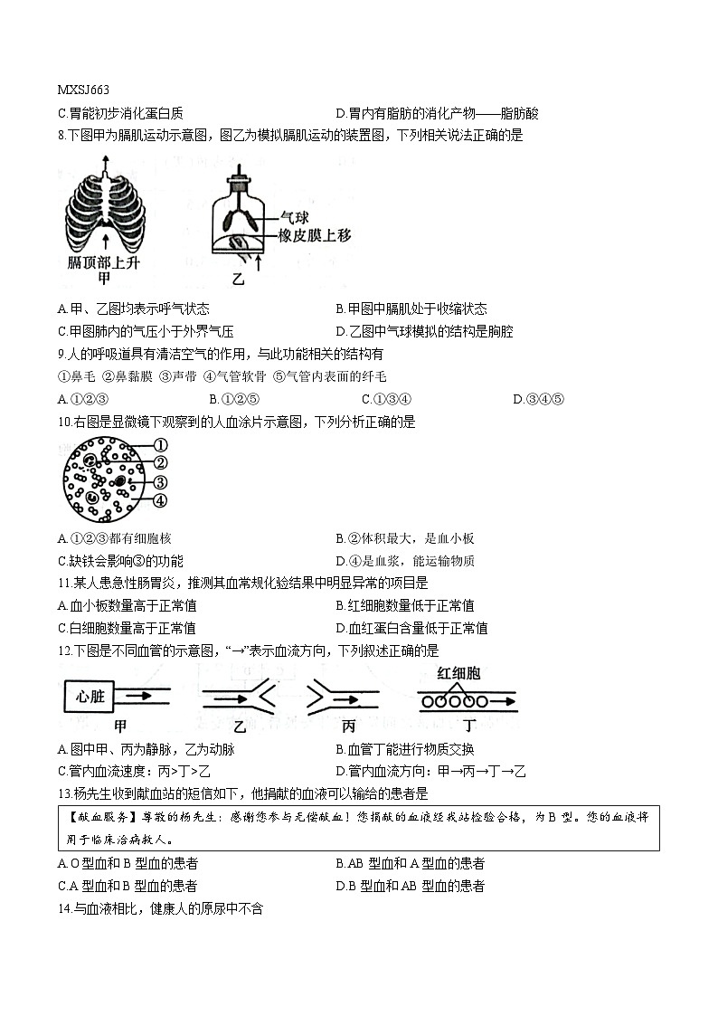 陕西省渭南市澄城县2022-2023学年七年级下学期期末生物试题(无答案)第2页
