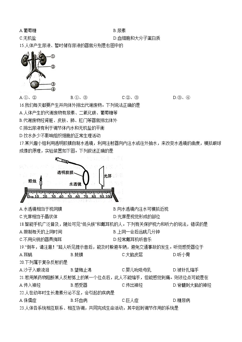 陕西省渭南市澄城县2022-2023学年七年级下学期期末生物试题(无答案)第3页