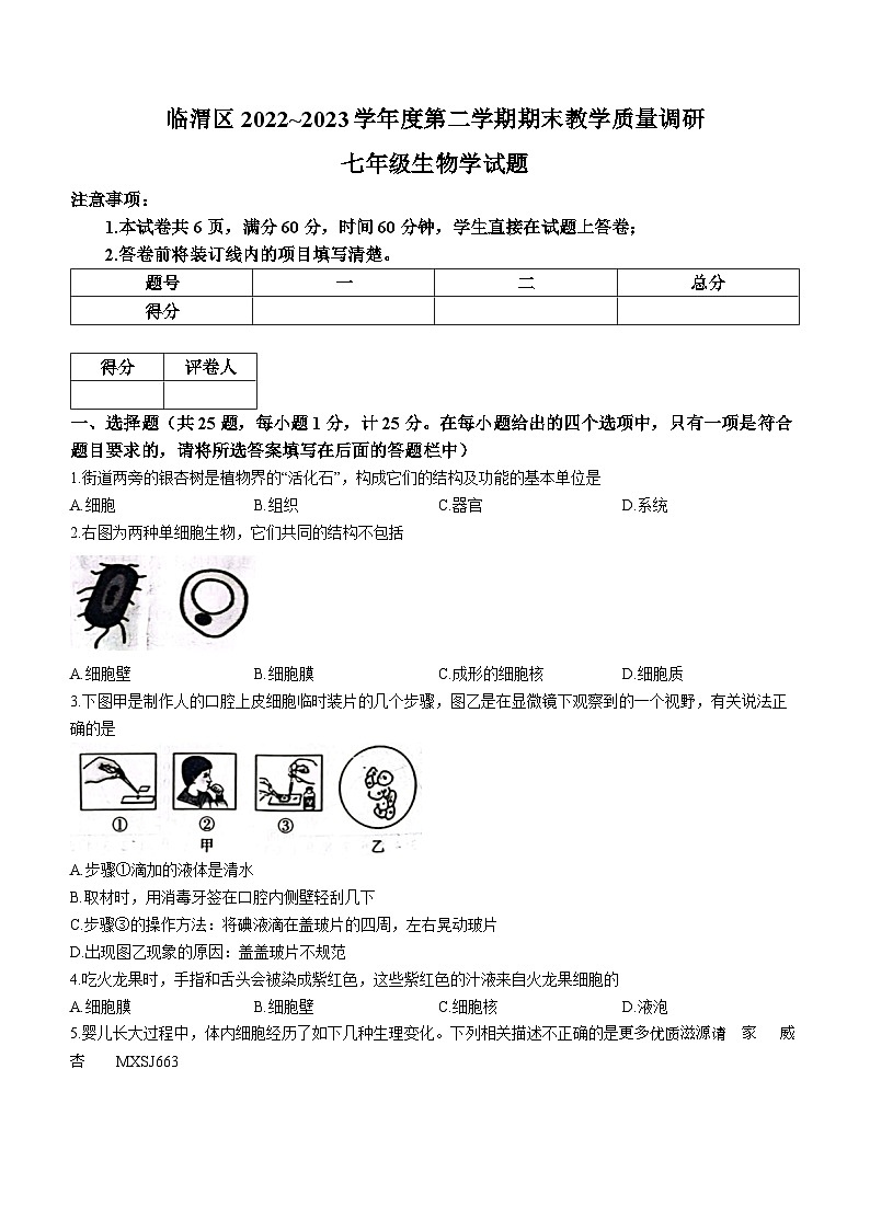陕西省渭南市临渭区2022-2023学年七年级下学期期末生物试题第1页