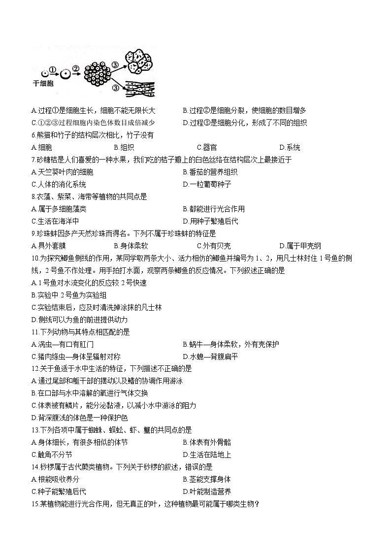 陕西省渭南市临渭区2022-2023学年七年级下学期期末生物试题第2页
