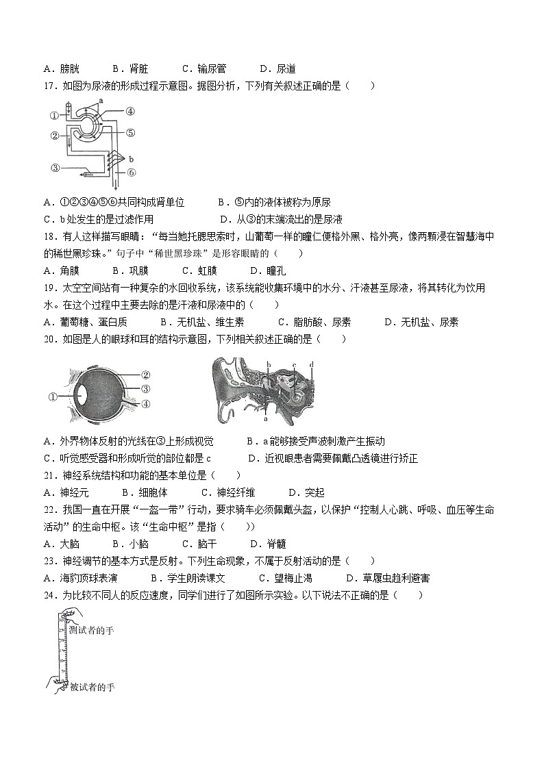 陕西省咸阳市兴平市2022-2023学年七年级下学期期末生物试题(无答案)03