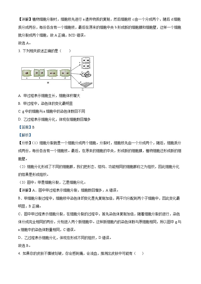 江苏省泰州市高港区等2地2022-2023学年七年级下学期期末生物试题（解析版）02