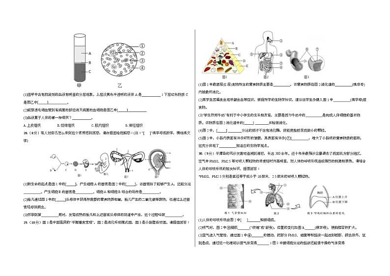 福建省福州市平潭第一中学2022-2023学年七年级下学期期中适应性练习生物试卷第3页