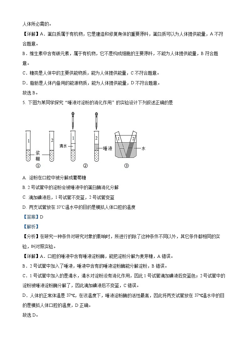 广西河池市大化县2022-2023学年七年级下学期期末生物试题（解析版）第3页