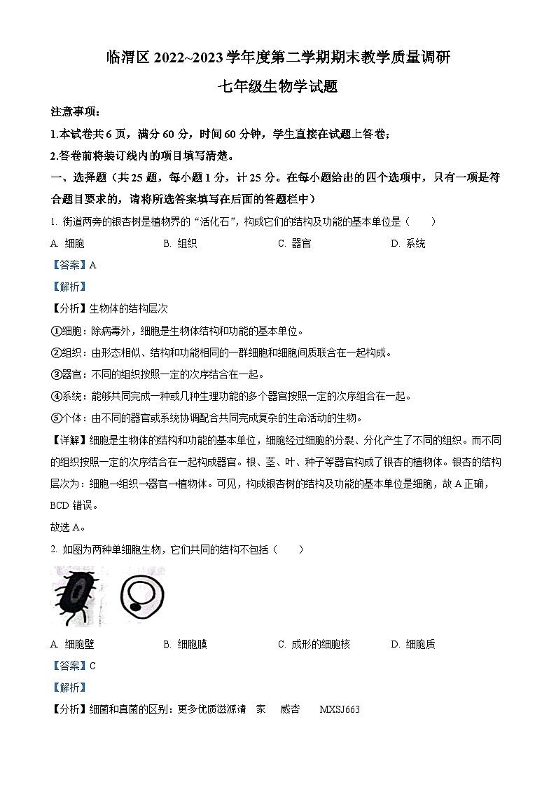 陕西省渭南市临渭区2022-2023学年七年级下学期期末生物试题（解析版）01
