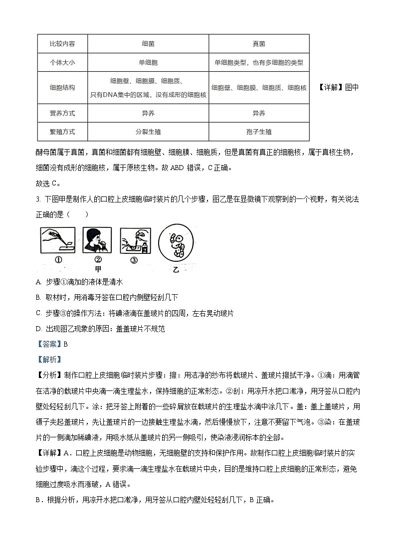 陕西省渭南市临渭区2022-2023学年七年级下学期期末生物试题（解析版）02
