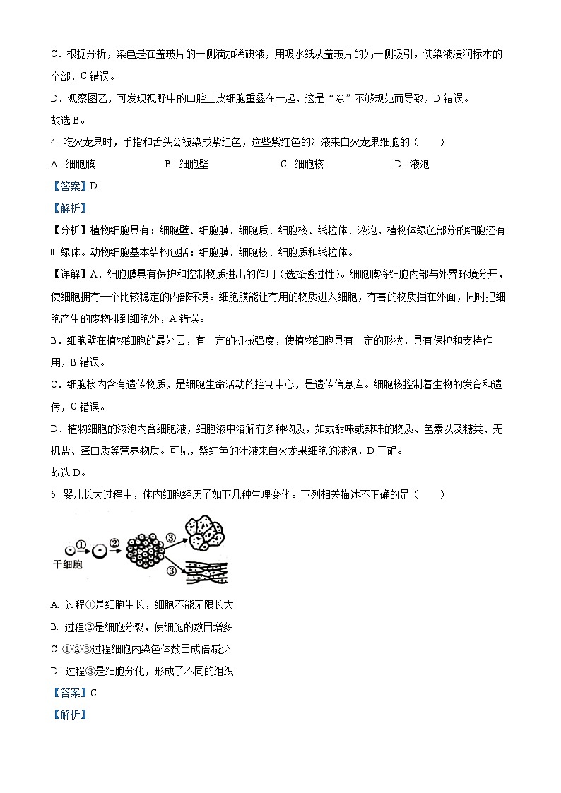 陕西省渭南市临渭区2022-2023学年七年级下学期期末生物试题（解析版）03