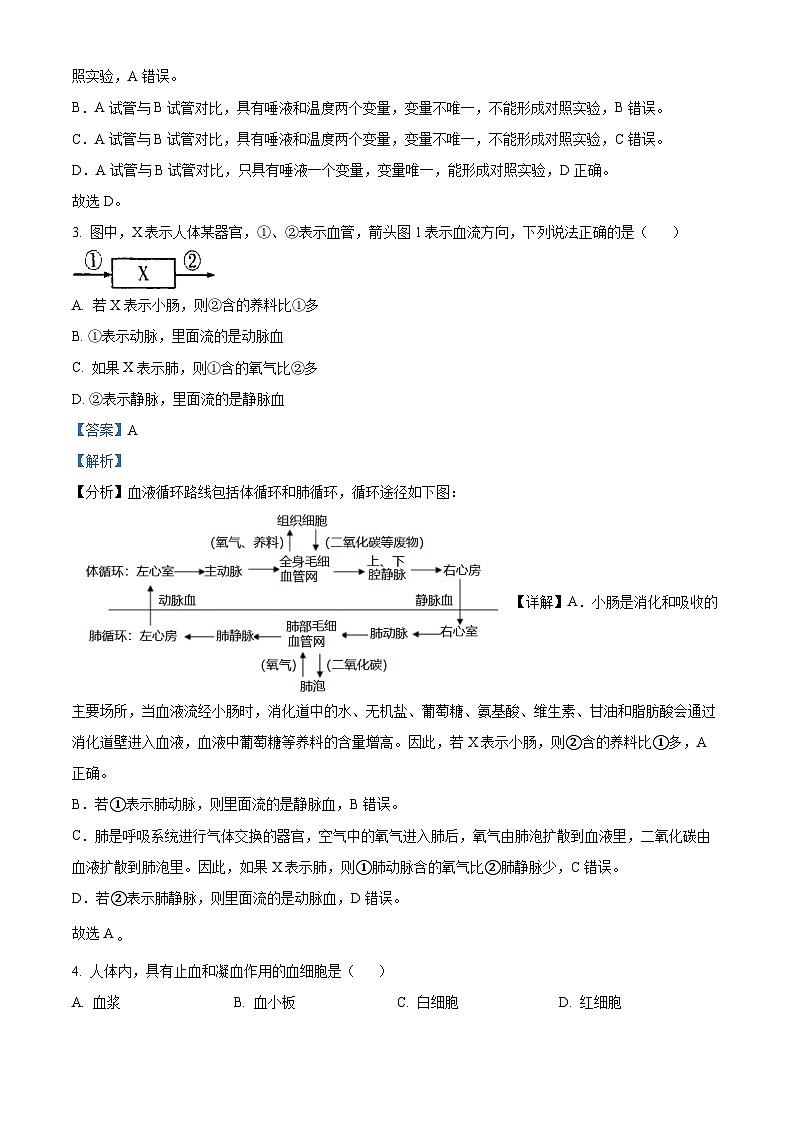 广西贵港市港南区2022-2023学年七年级下学期期末生物试题（解析版）第2页