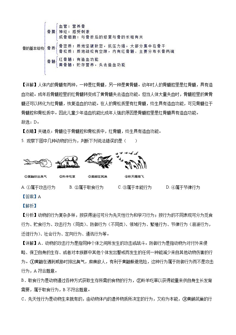 四川省成都市成华区2021-2022学年八年级上学期期末生物试题（解析版）03