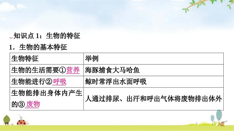 中考生物复习七年级上册第一单元生物和生物圈第一章认识生物课件02