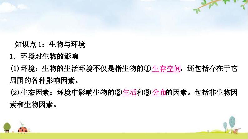 中考生物复习七年级上册第一单元生物和生物圈第二章了解生物圈课件02