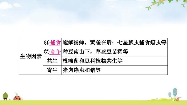中考生物复习七年级上册第一单元生物和生物圈第二章了解生物圈课件04