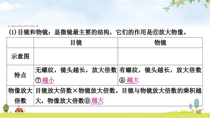 中考生物复习七年级上册第二单元生物体的结构层次第一章细胞是生命活动的基本单位教学课件第3页