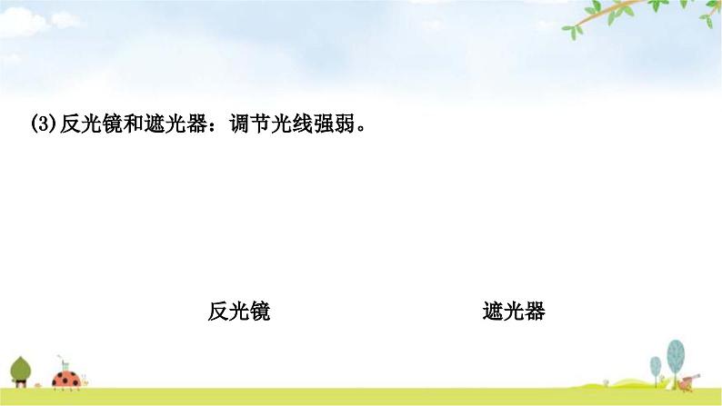 中考生物复习七年级上册第二单元生物体的结构层次第一章细胞是生命活动的基本单位教学课件第5页